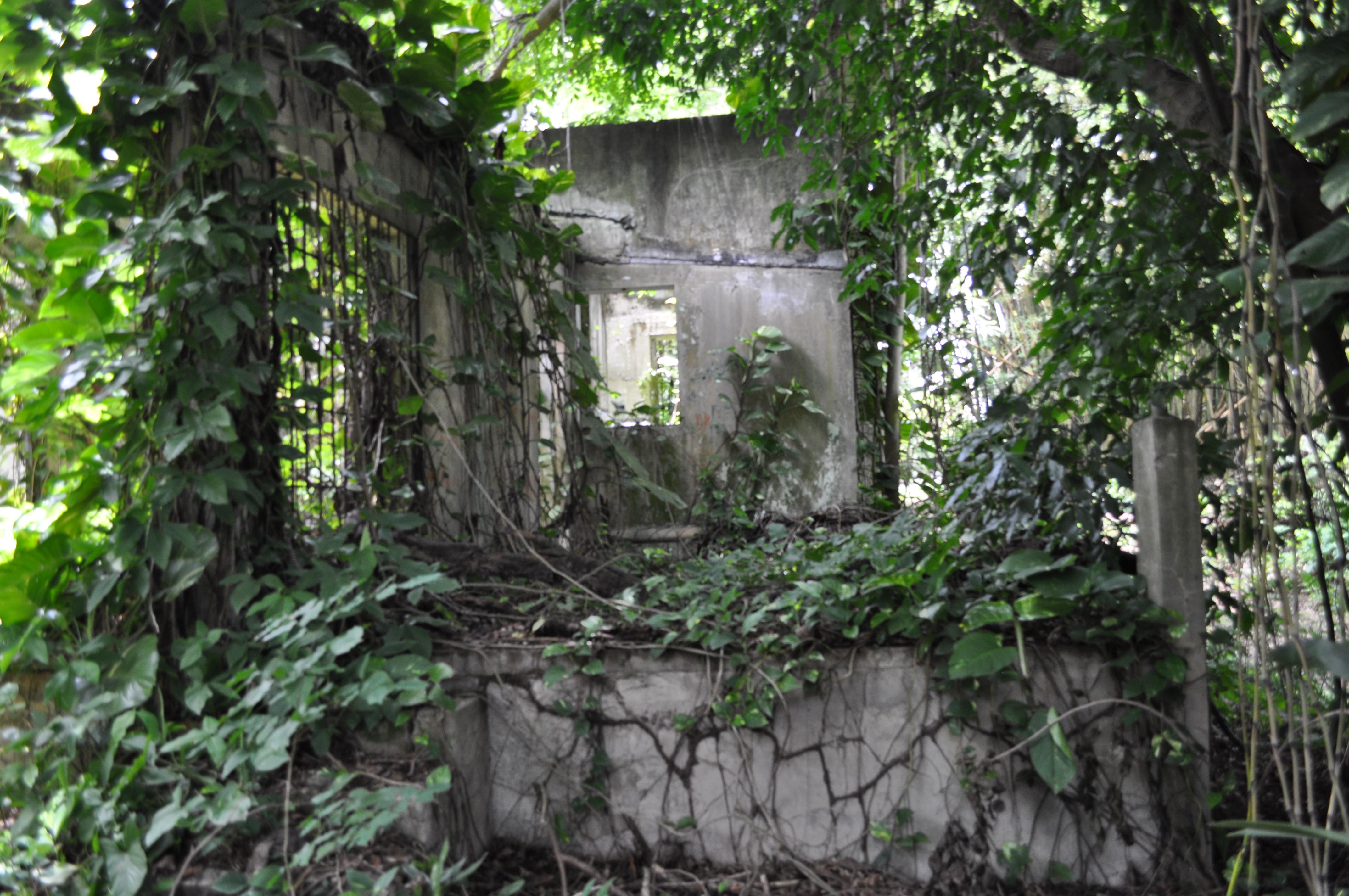 Antigua Lechería y Residencia de la Facultad de la Universidad de Puerto Rico - San Juan (Río Piedras) - 2014 00035